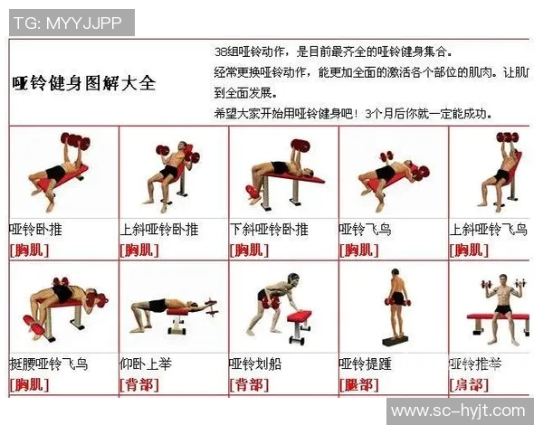 没有健身凳也能练出强壮胸肌的哑铃训练方法分享