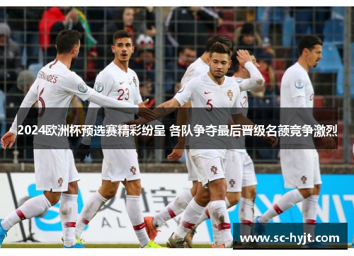 2024欧洲杯预选赛精彩纷呈 各队争夺最后晋级名额竞争激烈