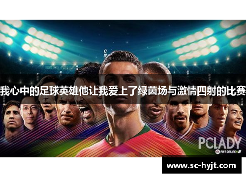 我心中的足球英雄他让我爱上了绿茵场与激情四射的比赛